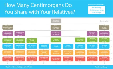How Many Centimorgans Do How this chart works Relationship .